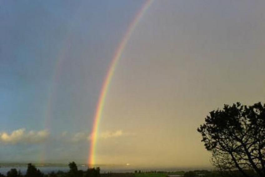Feierlenhof, 2-Zimmerwohnung Granny, Parterre - foto 14