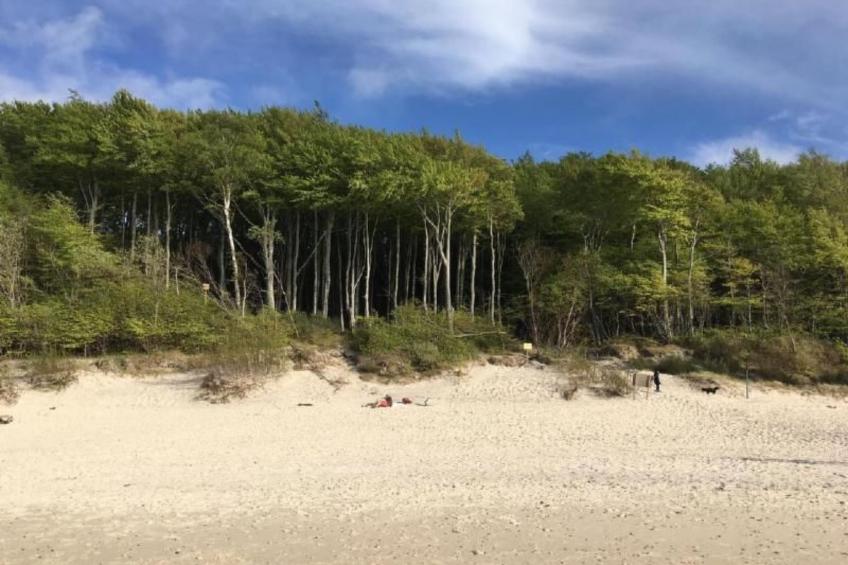 "Apartment 18B" mit Schwimmbad - foto 30