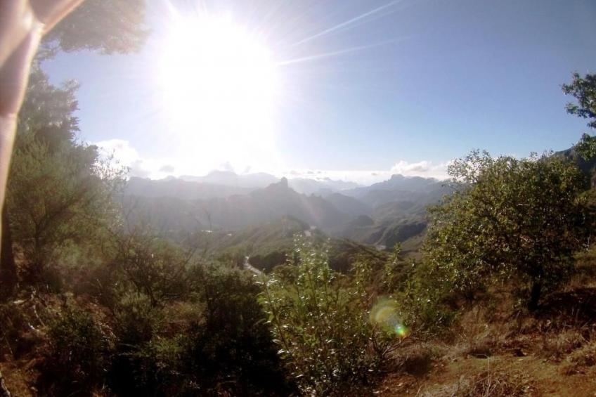 Landhaus Pepita la de las flores - foto 29