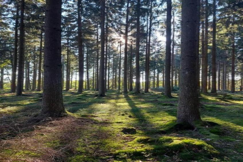 Ferienwohnung Landidyll am Salzhaff - foto 33