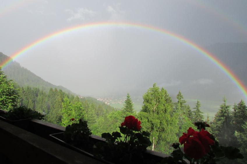 Reißkofel in Steinfeld - foto 9