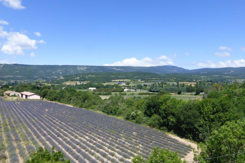 Charmantes Haus mit Pool und Garten - foto 18