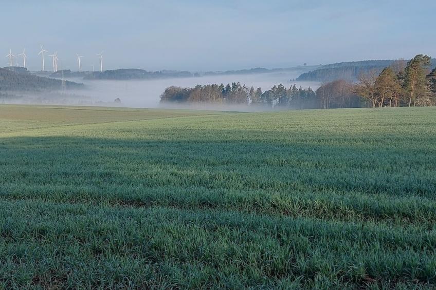 186667 - foto 27