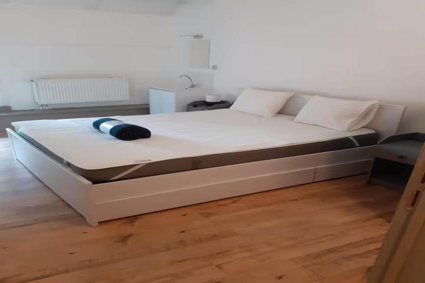 L'Ecureuil Blanc - foto 26