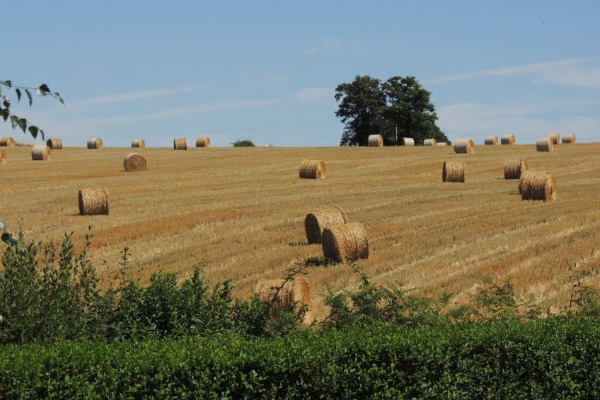 Charmantes Haus in der Auvergne - foto 15
