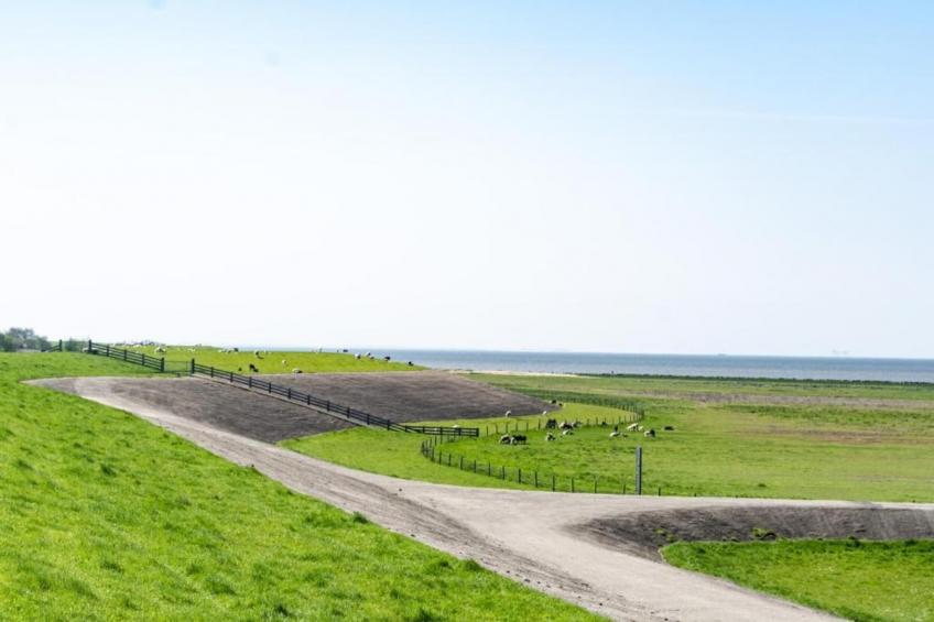 Wad’n Leven - foto 30