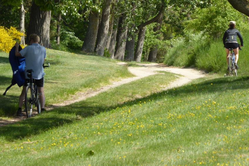 Hochwertige Ferienwohnung in Gingst - foto 44