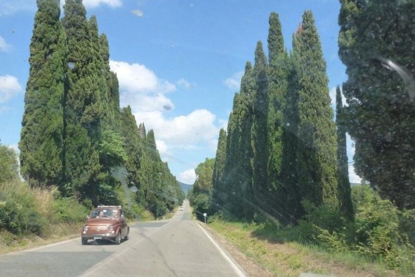 Casa Luisita - foto 13