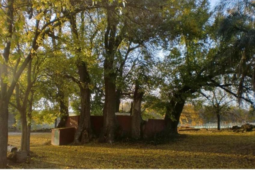 piso confortable en Montilla - foto 16