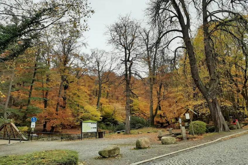 Haus Buchberg - foto 21