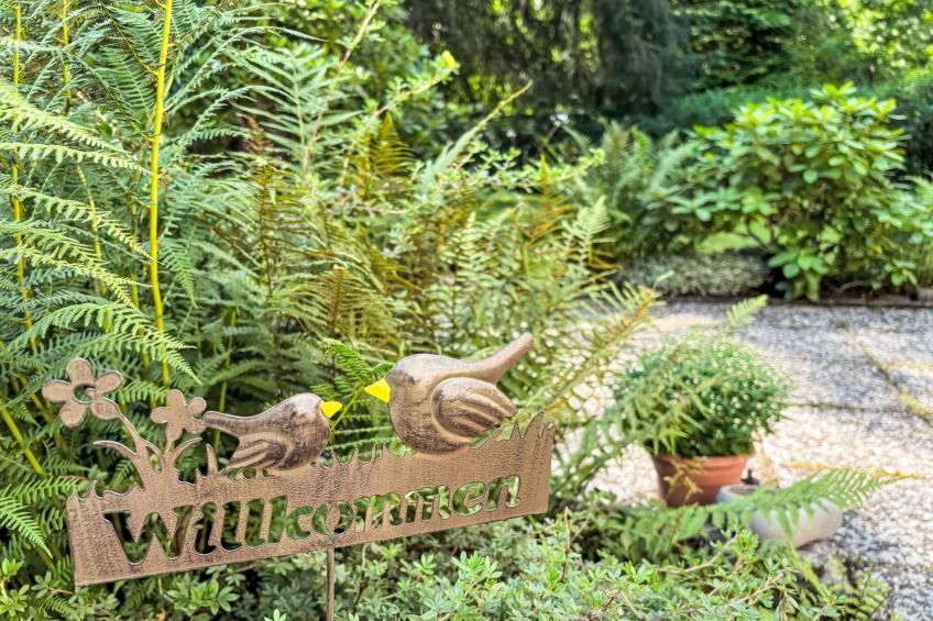 Altes Forsthaus - foto 25