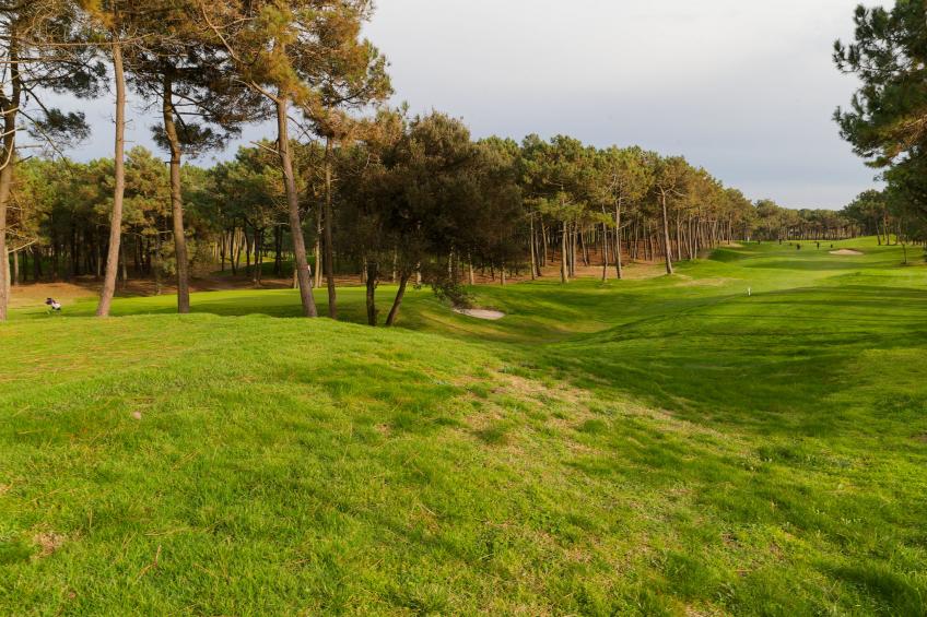 Parc de la Résidence - foto 44