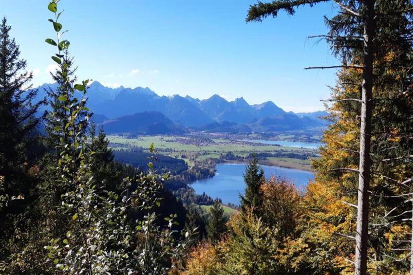 Haus Bergblick - foto 35