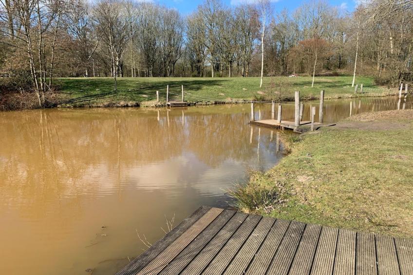 Chalet Meerkoet - foto 29