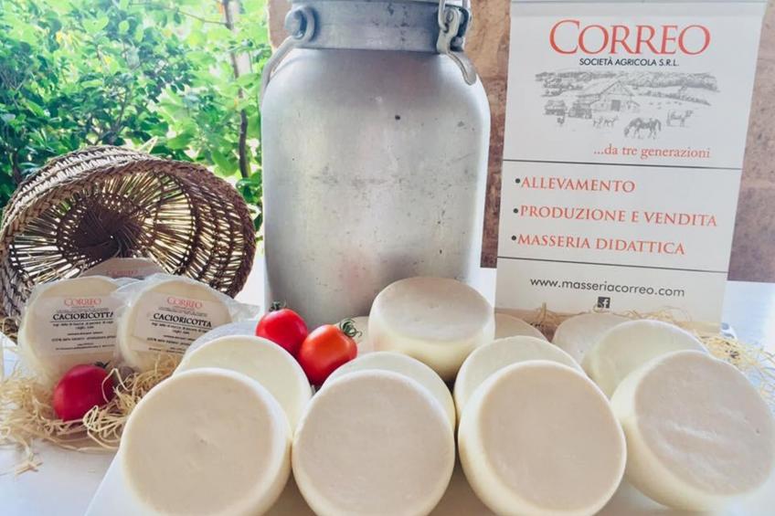 Masseria Pagliamonte - foto 28