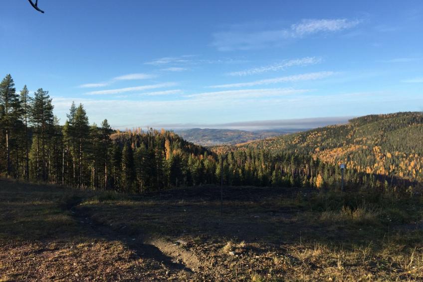 Ferientagheim Hammarstrand - foto 47