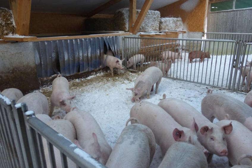 Ferienhof-Barenegg - foto 13