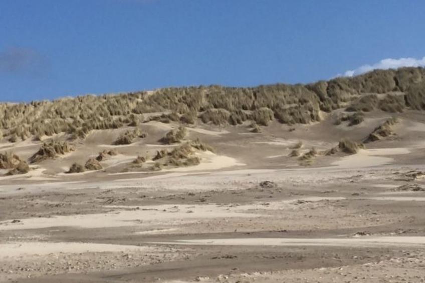 "Wad und Wal" mit Schwimmbad - foto 16