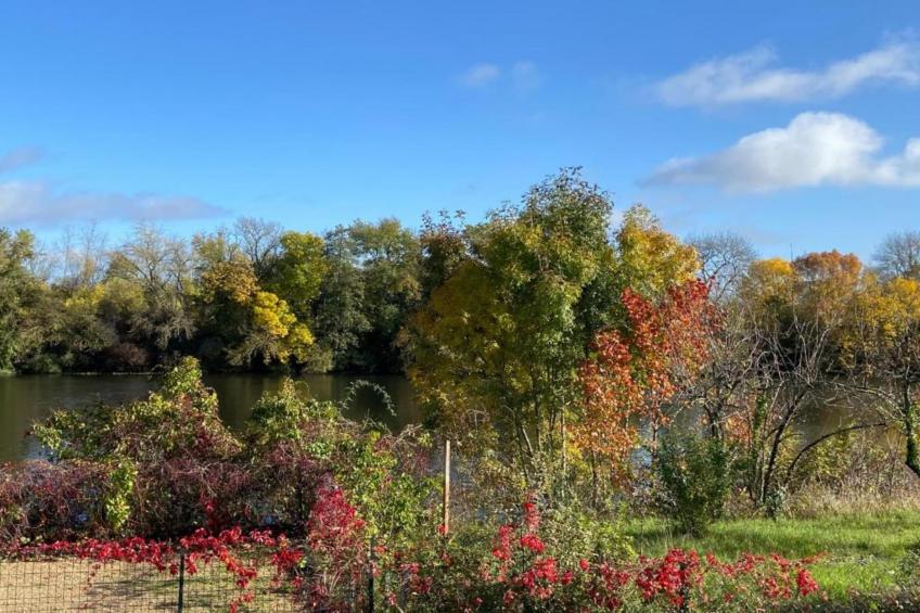 Gite de caractère - foto 25