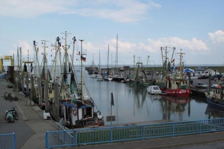 mit Terrasse - foto 23