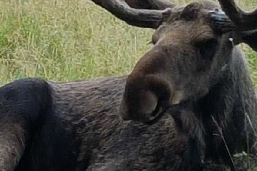 Särskilda - foto 46