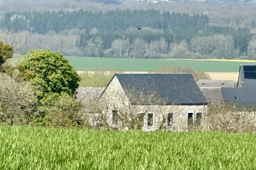 Le Grenier de Louise - foto 41