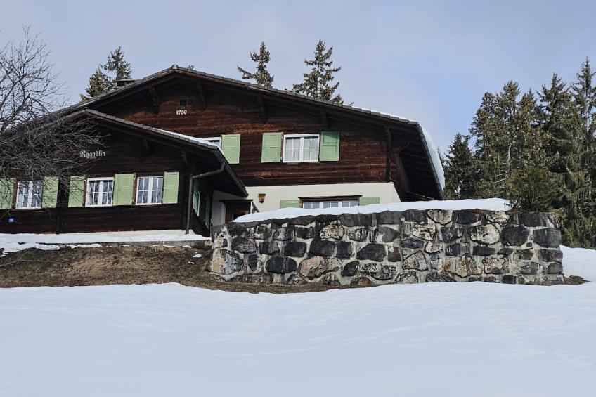 Chalet Raggälia, (Pany), ragaelia_pany - foto 19