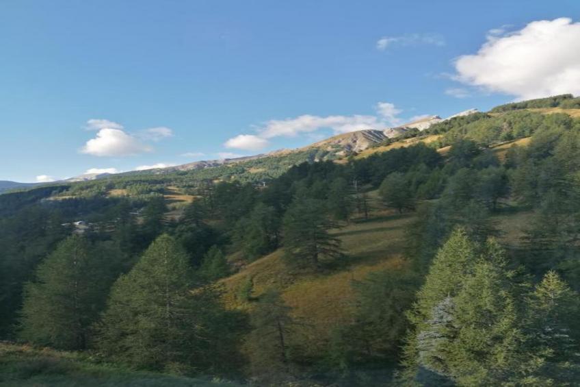 Les Marmottes N°14 - ST4 - foto 9