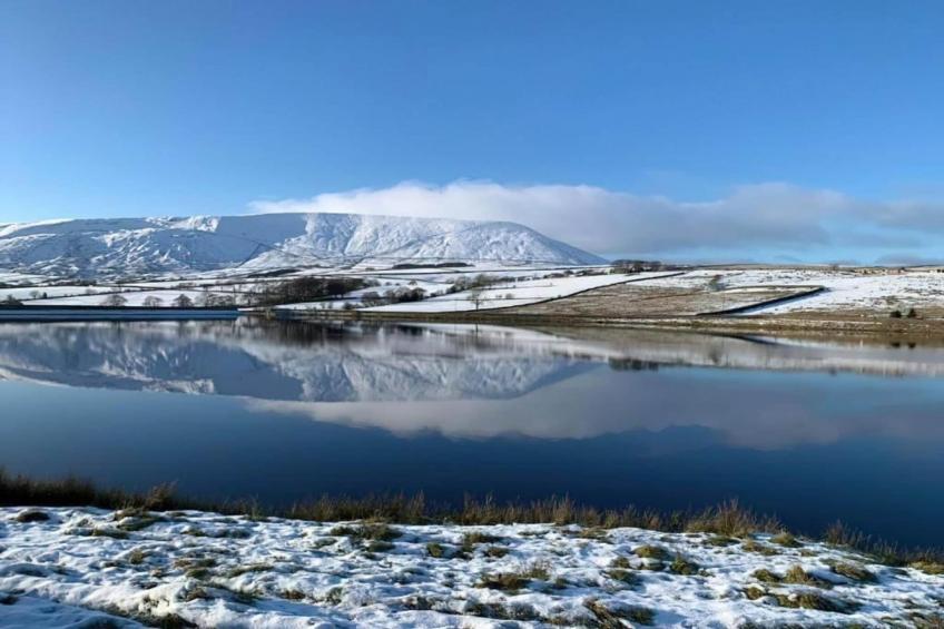 Five Waterings - foto 31