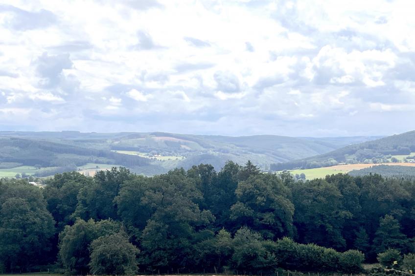 Sur les Thiers - foto 32