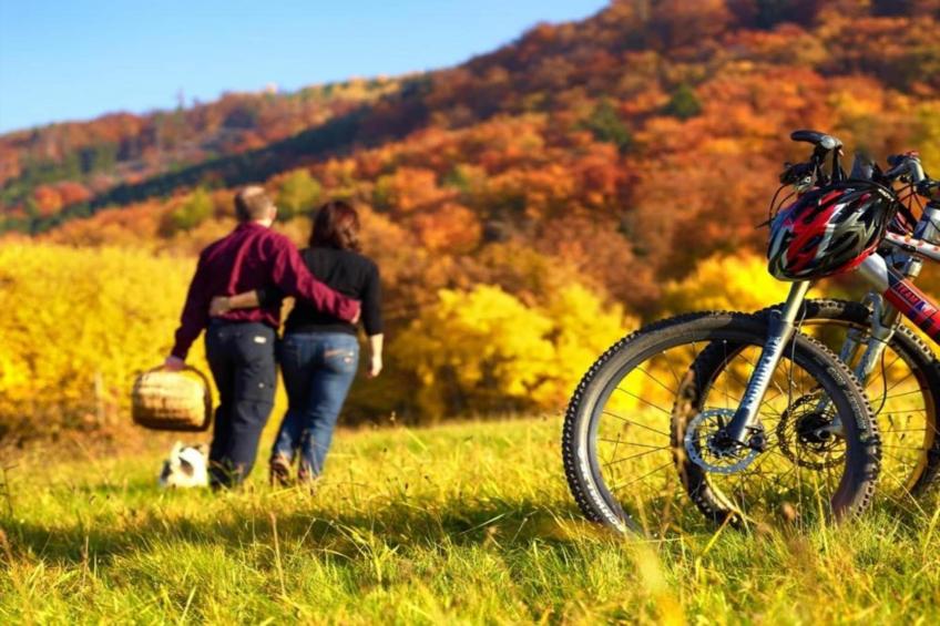 Ferienhaus der Saison an der Mosel - foto 33
