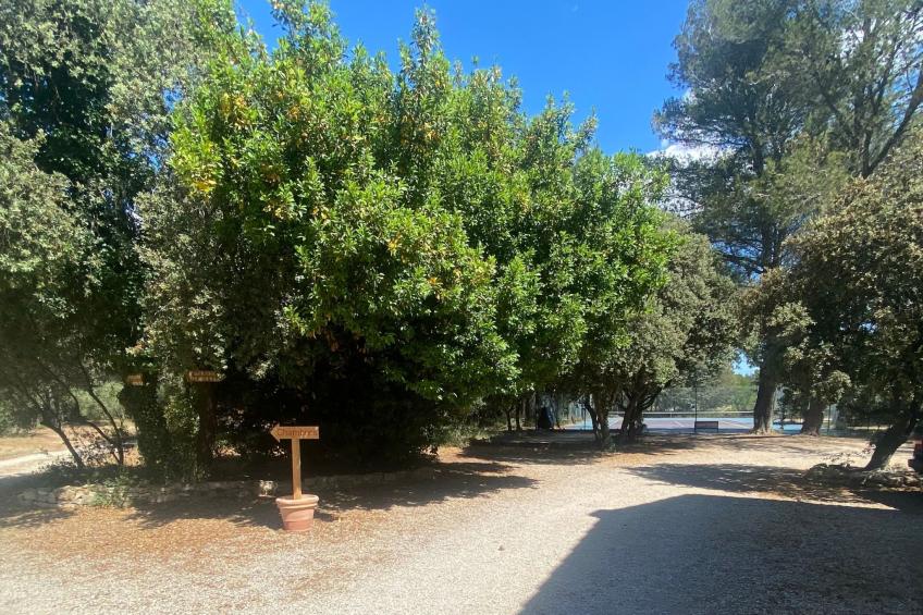 Studiowohnung mit Terrasse - Pool, Tennis, Bouleplatz - foto 27