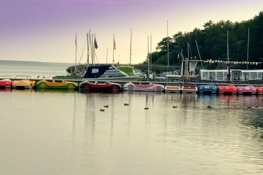 "Paradise Star Bobolin" - foto 29