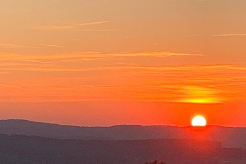 in Erlbach mit Grill und Terrasse - foto 25