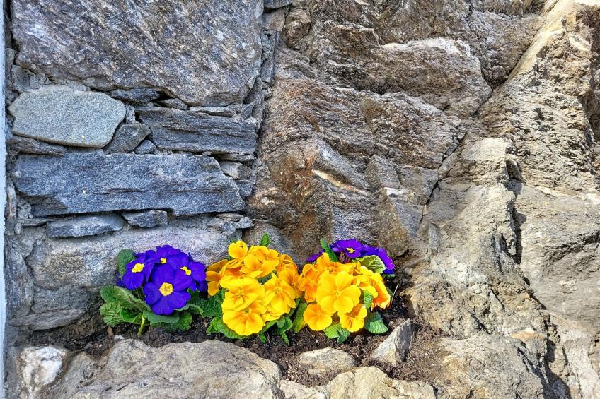 Apt. Tana dei Leoni - foto 27