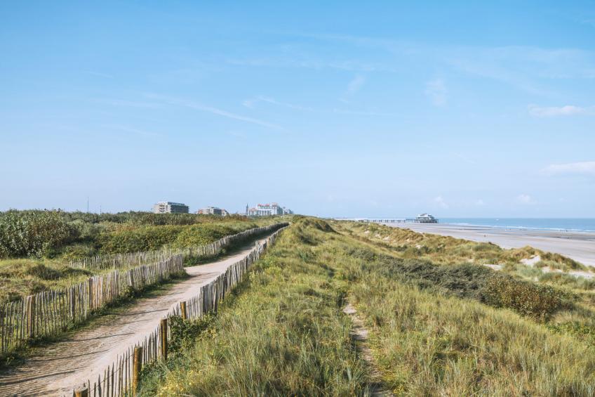 Les Citrinelles with parking - foto 39