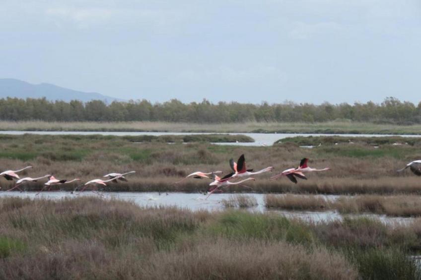 Villini Ala Birdi 2 pax - foto 30