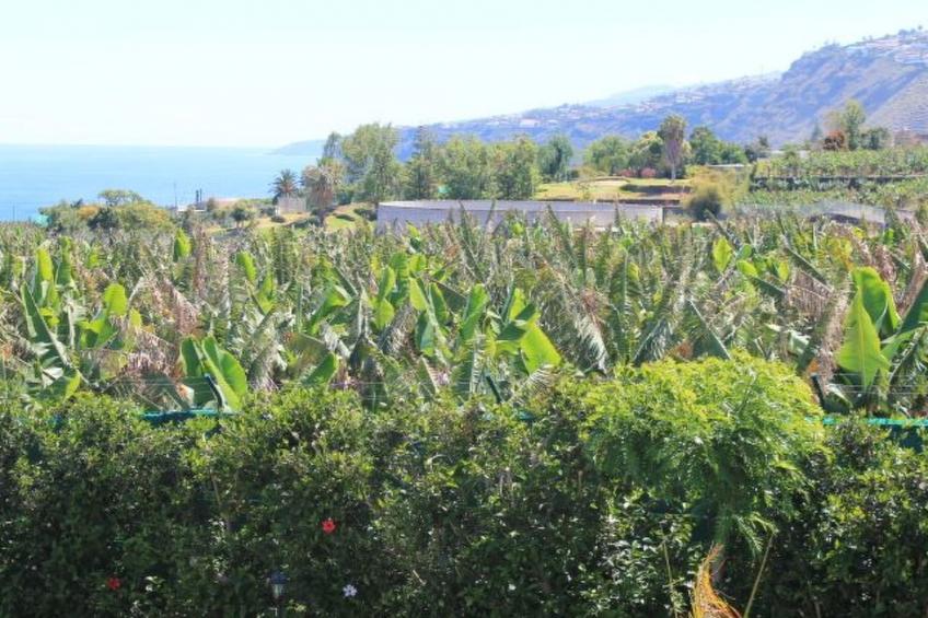 Finca Paraiso - foto 6