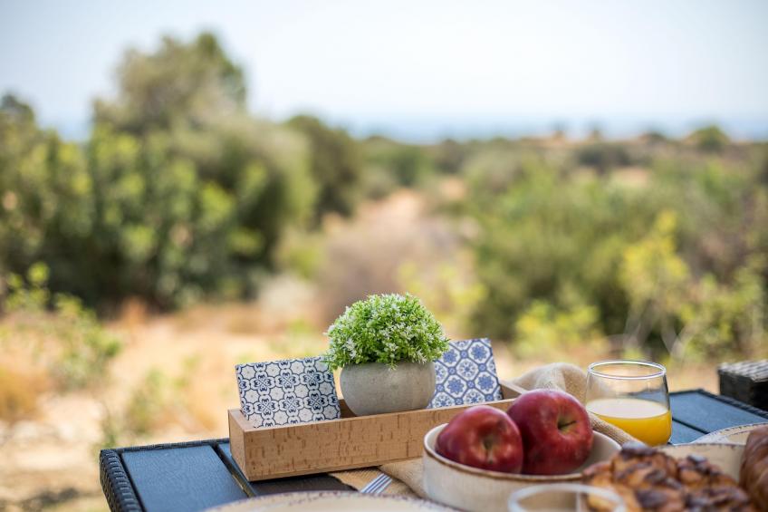 EMARMENE AGROTOURISTIC - foto 14