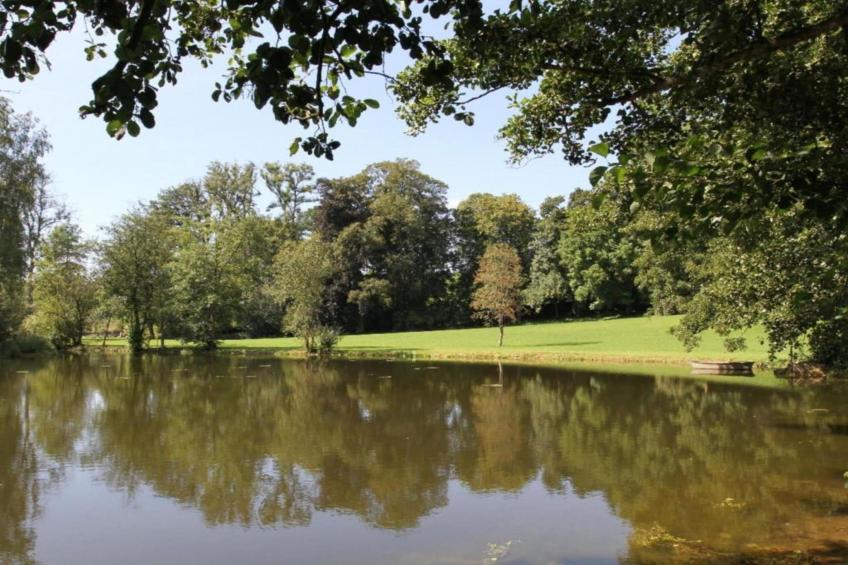 Les secrets du chat - foto 32