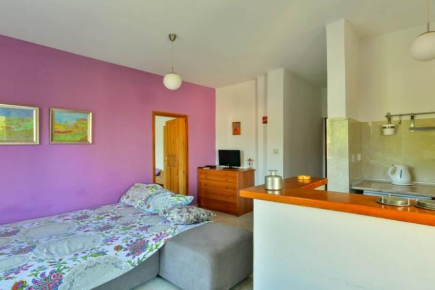 Villa Marković 2 - One bedroom apartment (Šumički) - foto 7