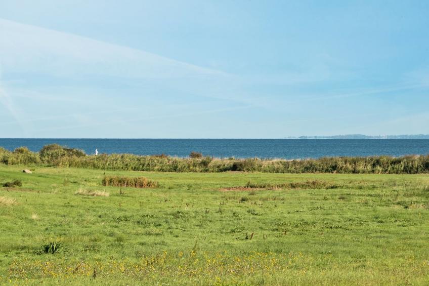 "Alexis" - 250m from the sea in SE Jutland - foto 37