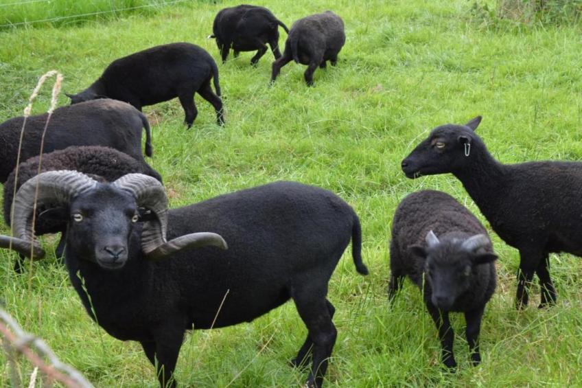 't Kokhuus - foto 32