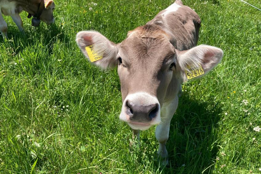 Fewo Bergblick lodge - foto 28