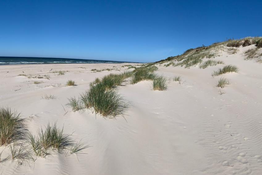 Ferien an der Ostsee - foto 25