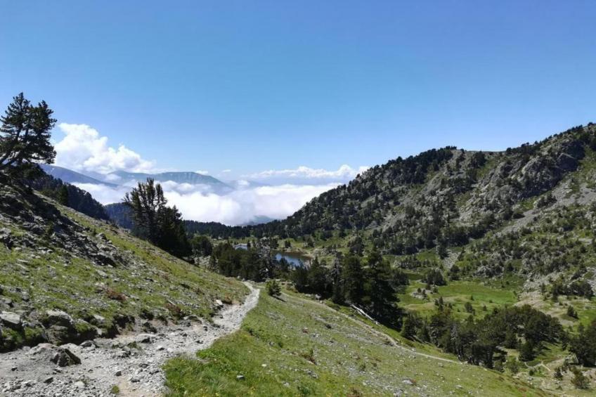 V du Bachat Arolles A n°26 - 2P4 - foto 24