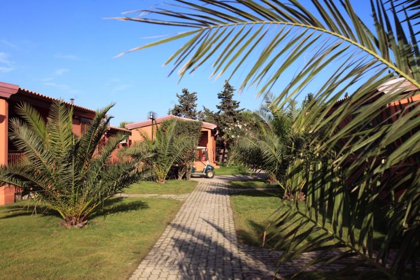 Club Degli Amici Capalbio Superior - foto 6