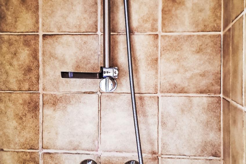 Nachtigall - foto 45