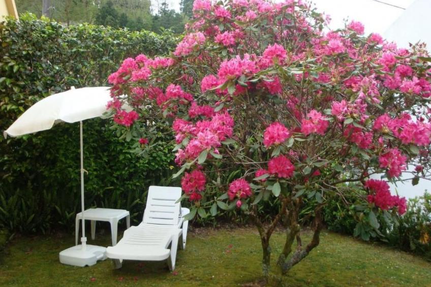 Warmwasser Haus 1 - foto 32