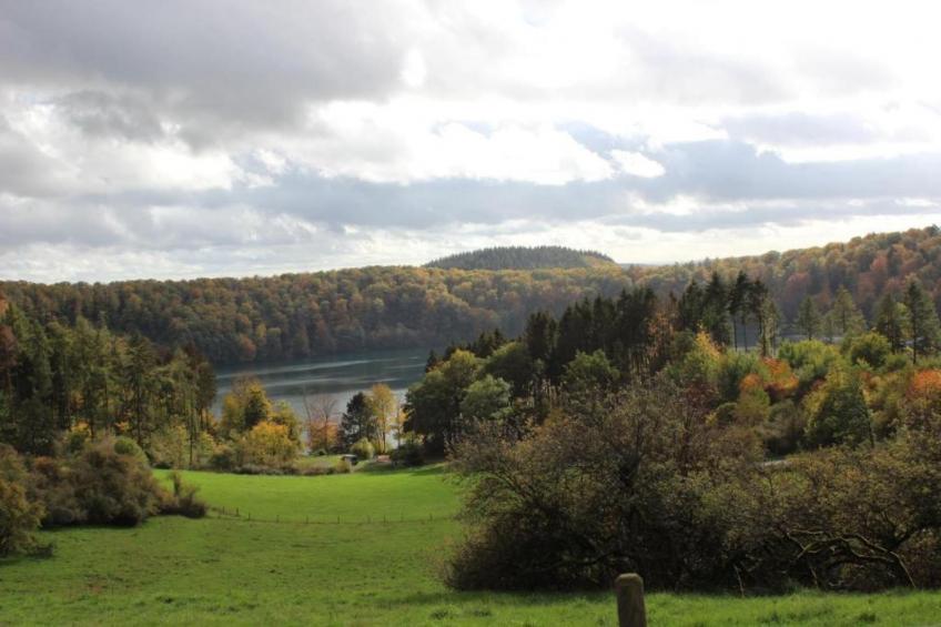 Eschbachtal - foto 25